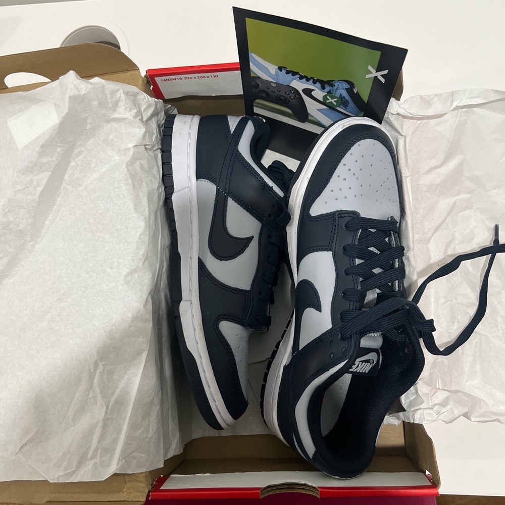 Nike Georgetown Dunk Low